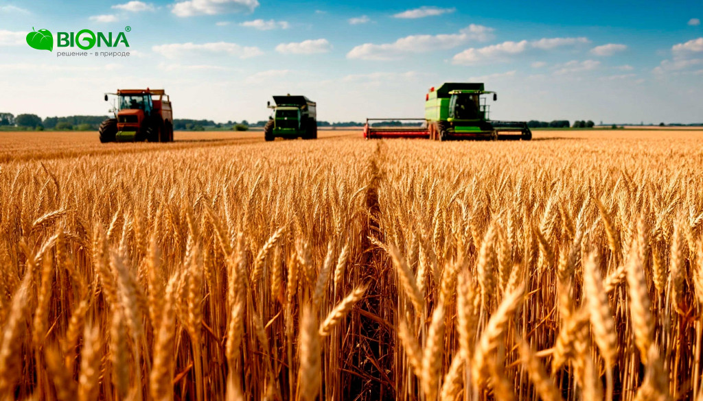 Почему-биотехнологии-становятся-основой-современного-АПК.jpg