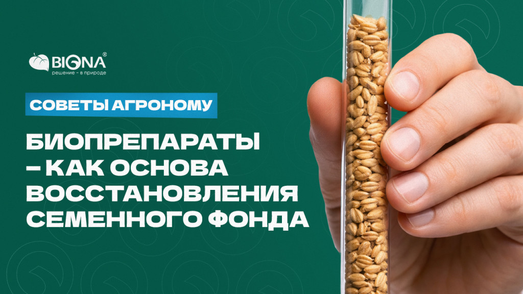 Запрет семян.jpg