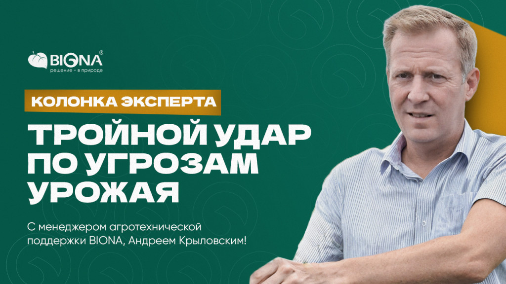 Статья КРЫЛОВСКИЙ.jpg