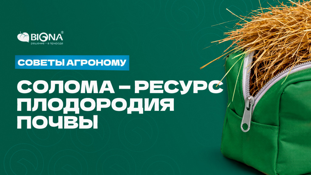 Солома.jpg