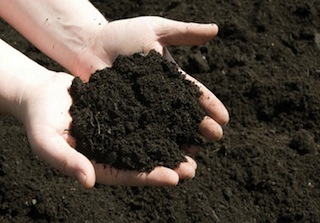 soil-in-hands.jpg